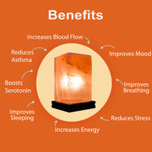 Load image into Gallery viewer, Himalayan Salt Lamp 3,8 kg - Zencare