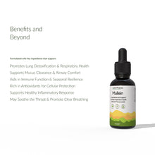 Load image into Gallery viewer, EA Pharma - Mullein Drops
