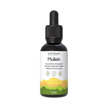 Load image into Gallery viewer, EA Pharma - Mullein Drops
