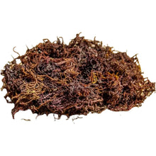 Load image into Gallery viewer, Wild Crafted Sea Moss Gel - 500ml - Zencare